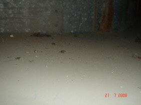 Αεραγωγός με νεκρά ζωύφια